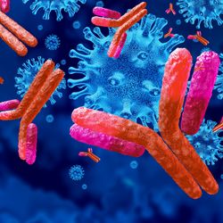 3D illustration depicting antibodies attacking virus particles