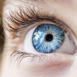 Close up photo of a child's blue eye 