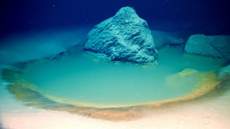underwater photograph of a brine pool found in the Gulf of Aqaba