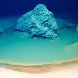 underwater photograph of a brine pool found in the Gulf of Aqaba