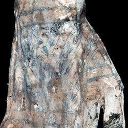 Laser-stimulated fluorescence imaging has revealed the tattoos of ancient Chancay people in never-before-seen detail.