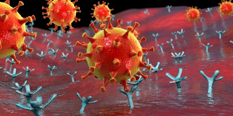 A coronavirus binding to ACE2