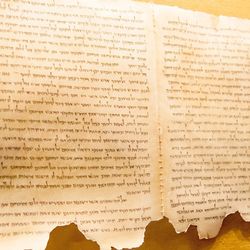 Dead Sea Scroll