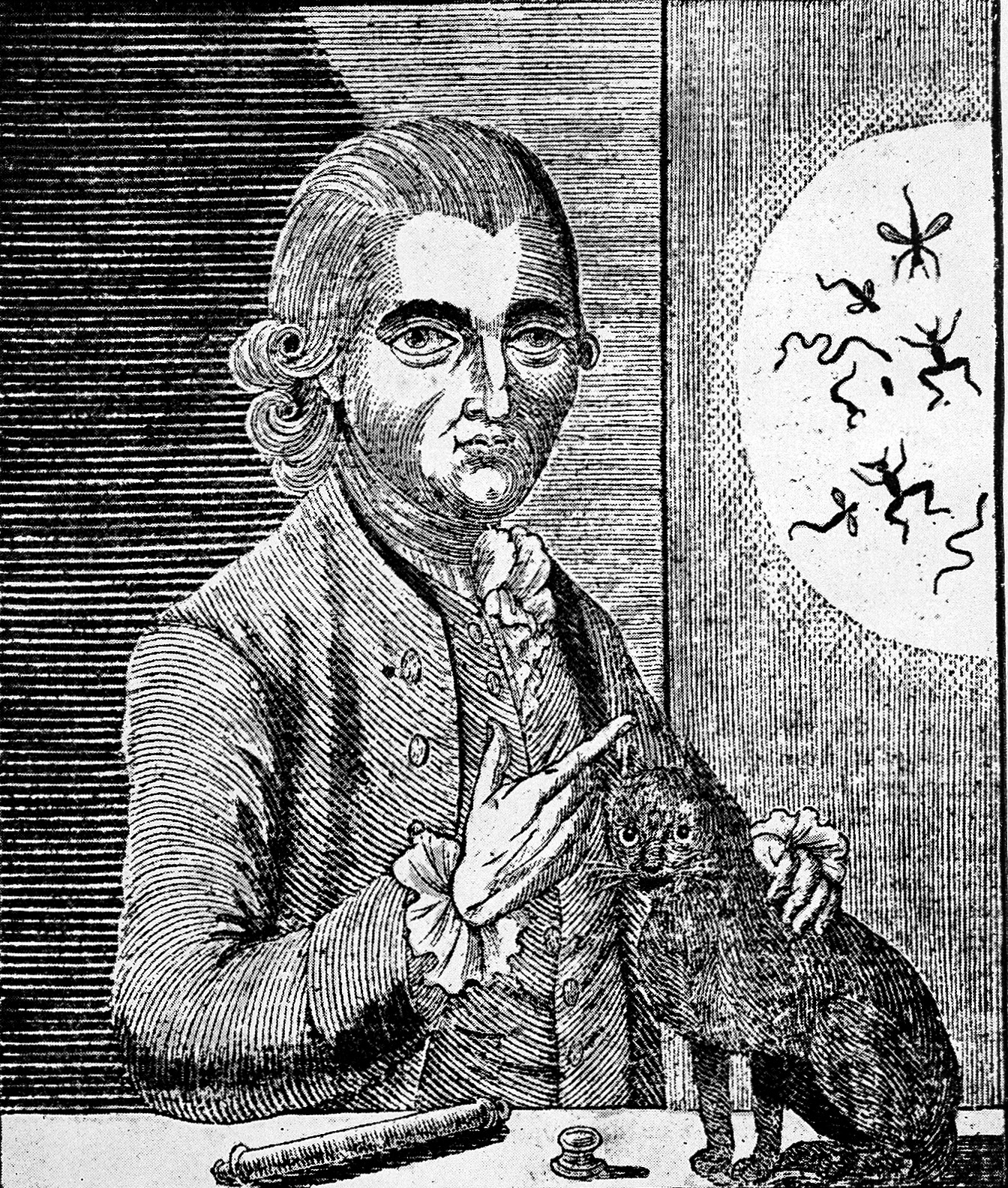A woodcut engraving of Gustavus Katterfelto. The image shows him wearing a fine frock coat and powdered wig. He is stroking a black cat and pointing at a projection on the wall to his side. The projection shows small creatures that live in water, but they are much larger due to the apparatus he is using. 
