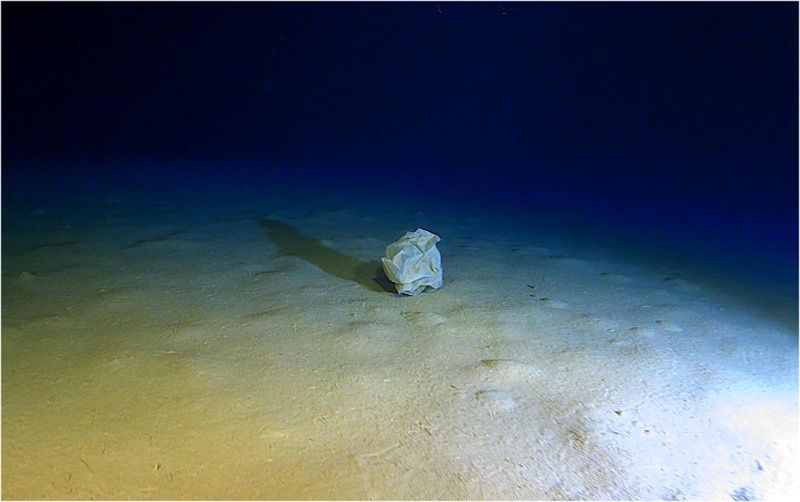 Human trash, like plastic, found bottom of the Calypso Deep, an underwater depression in the Ionian Sea, c