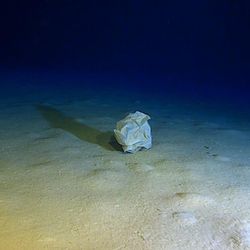 Human trash, like plastic, found bottom of the Calypso Deep, an underwater depression in the Ionian Sea, c