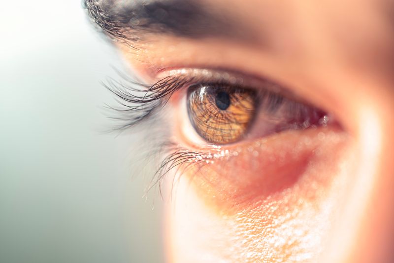 macro shot of a brown eye and eyelashes