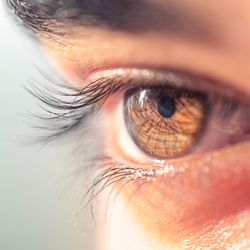 macro shot of a brown eye and eyelashes