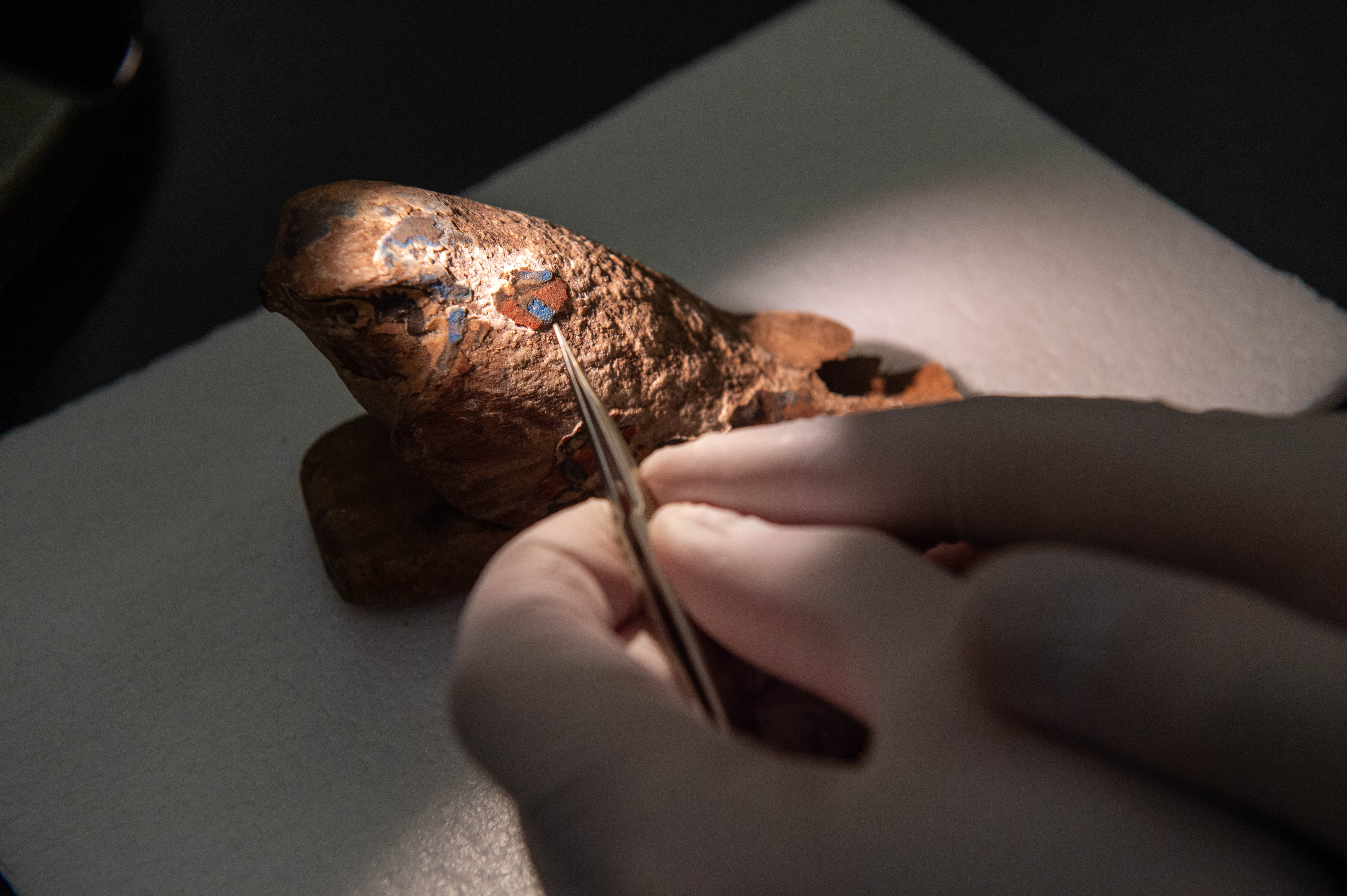 close up of wooden Egyptian artifact in the shape of a falcon; a researcher is sampling a tiny area of Egyptian blue on the surface with tweezers