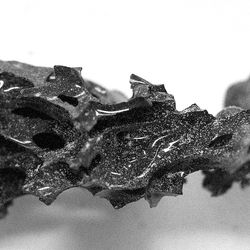 Fragment of vitrified brain from Herculaneum