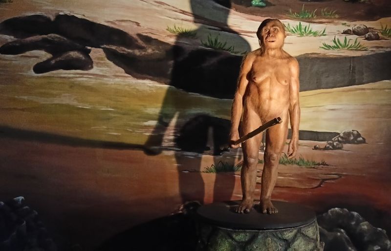 Homo floresiensis - aka the Hobbit human