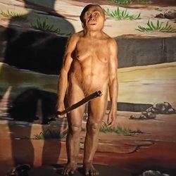 Homo floresiensis - aka the Hobbit human