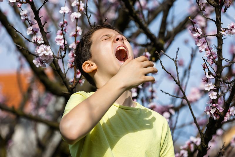 child in green t-shirt standing against a backdrop of pink blossoms and clearly about to sneeze