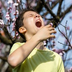 child in green t-shirt standing against a backdrop of pink blossoms and clearly about to sneeze