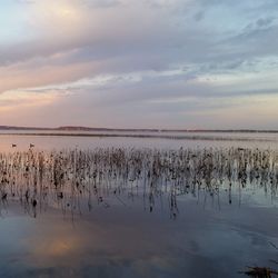 Lake Mendota in Wisconsin 