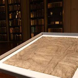 copy of the magna carta, pictured in the Harvard Law School library