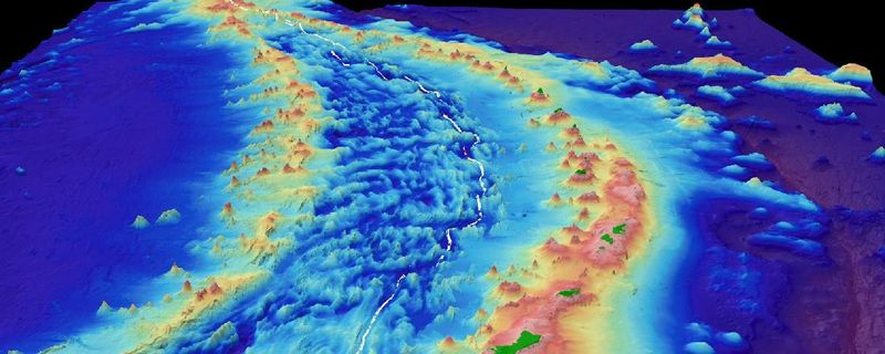 The deepest point of the Mariana Trench, known as Challenger Deep, reaches a depth of 10,984 metres (36,037 feet). 