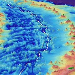 The deepest point of the Mariana Trench, known as Challenger Deep, reaches a depth of 10,984 metres (36,037 feet). 