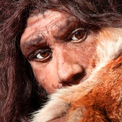 A model of a Neanderthal with brown eyes and hair
