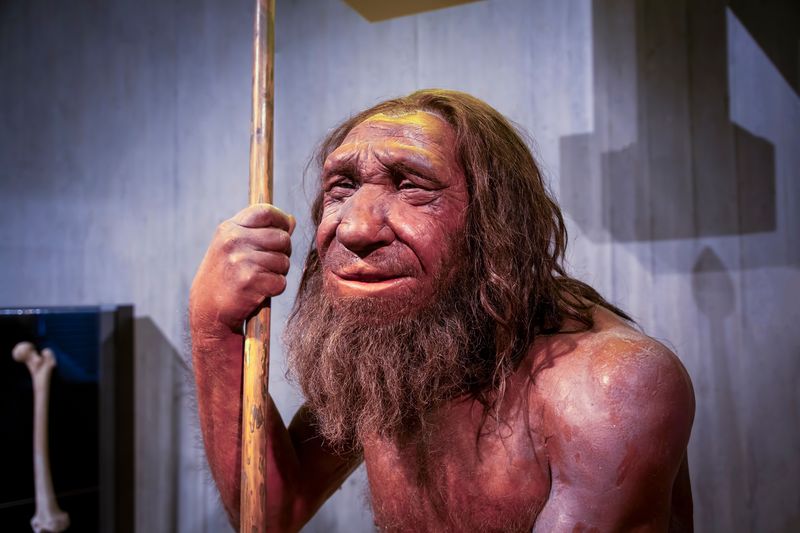 Waxwork impression of an older Neanderthal man; long brown hair and beard, with some grey in it, a wrinkled face