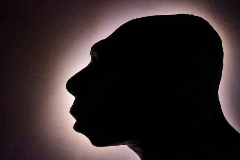  Neanderthal head in a silhouette profile.