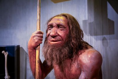 Waxwork impression of an older Neanderthal man; long brown hair and beard, with some grey in it, a wrinkled face