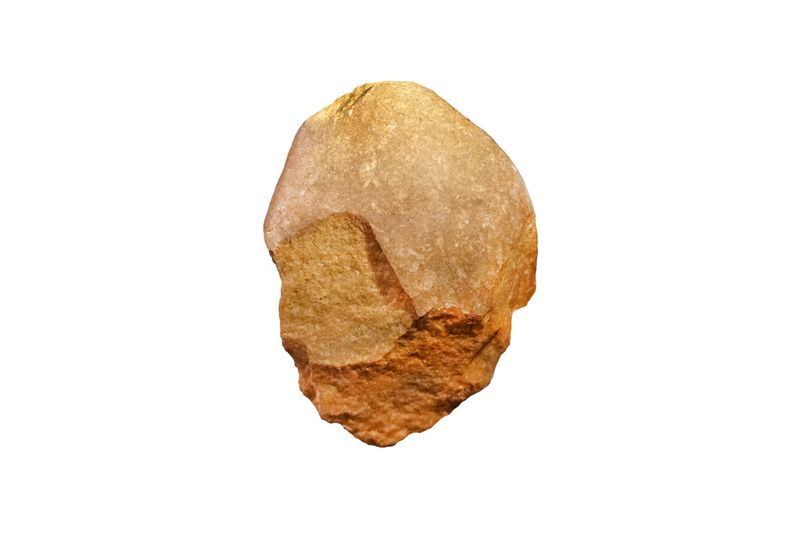 A photo of a stone tool set against a white backdrop. The stone tool is sand colored and has a rounded smooth top. The lower portion shows where it has been knapped into a shaper edge, though this example is duller. 