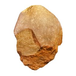 A photo of a stone tool set against a white backdrop. The stone tool is sand colored and has a rounded smooth top. The lower portion shows where it has been knapped into a shaper edge, though this example is duller. 
