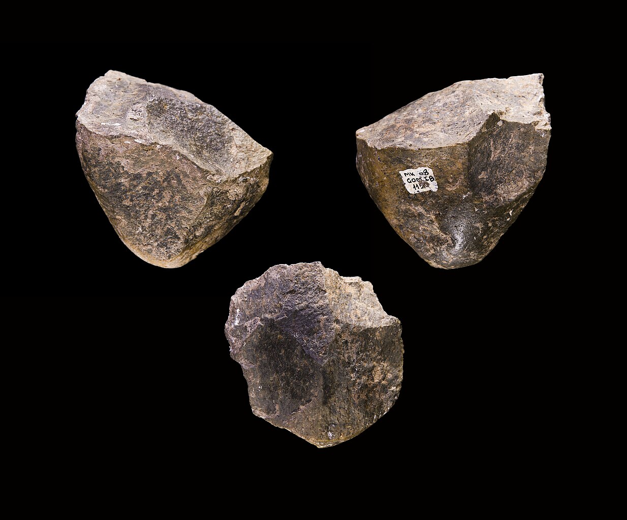 Stone "chopper" Oldowan tools found in Ethiopia dating back to 1.7 million years ago. Stone "chopper" Oldowan tools found in Ethiopia dating back to 1.7 million years ago.