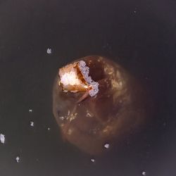 PFAS in the water. 