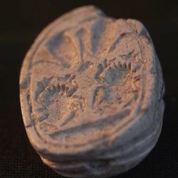 A close up photo of the reverse of the scarab seal showing its flatter side with a seal carved into it. There are two scarab shapes carved into it, along with some other impressions as decorations. It is possible to see the curved shape of the seal's reverse that is away from the camera.