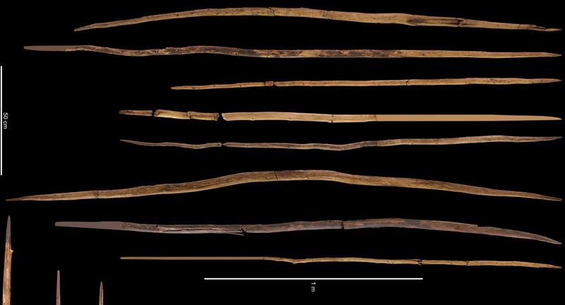 The Schöningen spears