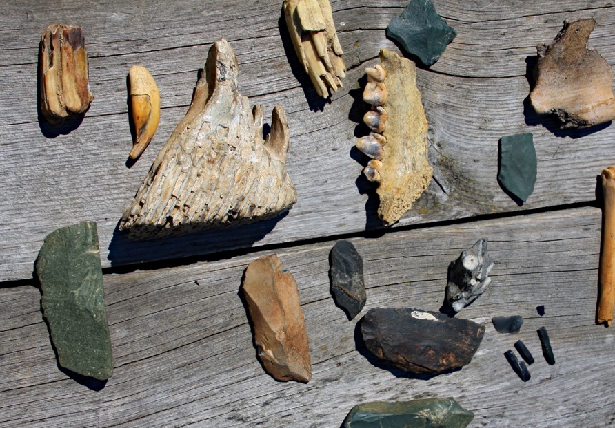 Artifacts and fossils from Denisova Cave