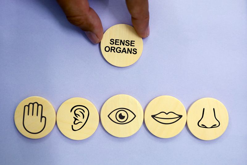 A photo showing five circular disk set up in a row, with another being position above them. The five in a row represent the senses, and include an image of a hand for "touch", an er for "hearing", an eye for "sight", a mouth for "taste" and a nose for "smell". Above them, the last disk has the words "Sense Organs" written on it. It is being held in place by two fingers. 