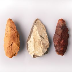 four prehistoric stone spearheads laid out on a white surface