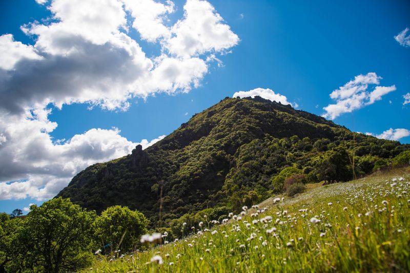 Sutter Buttes in the Spring time