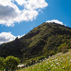 Sutter Buttes in the Spring time