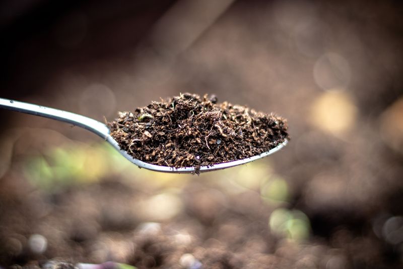 Teaspoon full of soil