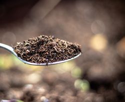 Teaspoon full of soil