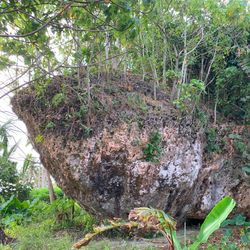 The Maka Lahi boulder in Indonesia