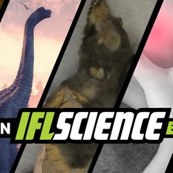 All the biggest science news stories of the week.