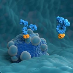 3D illustration of pancreatic cancer tumors in shades of blue being attacked by blue and yellow antibodies