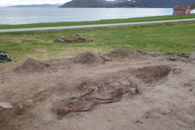 Viking woman buried in a boat in Norway