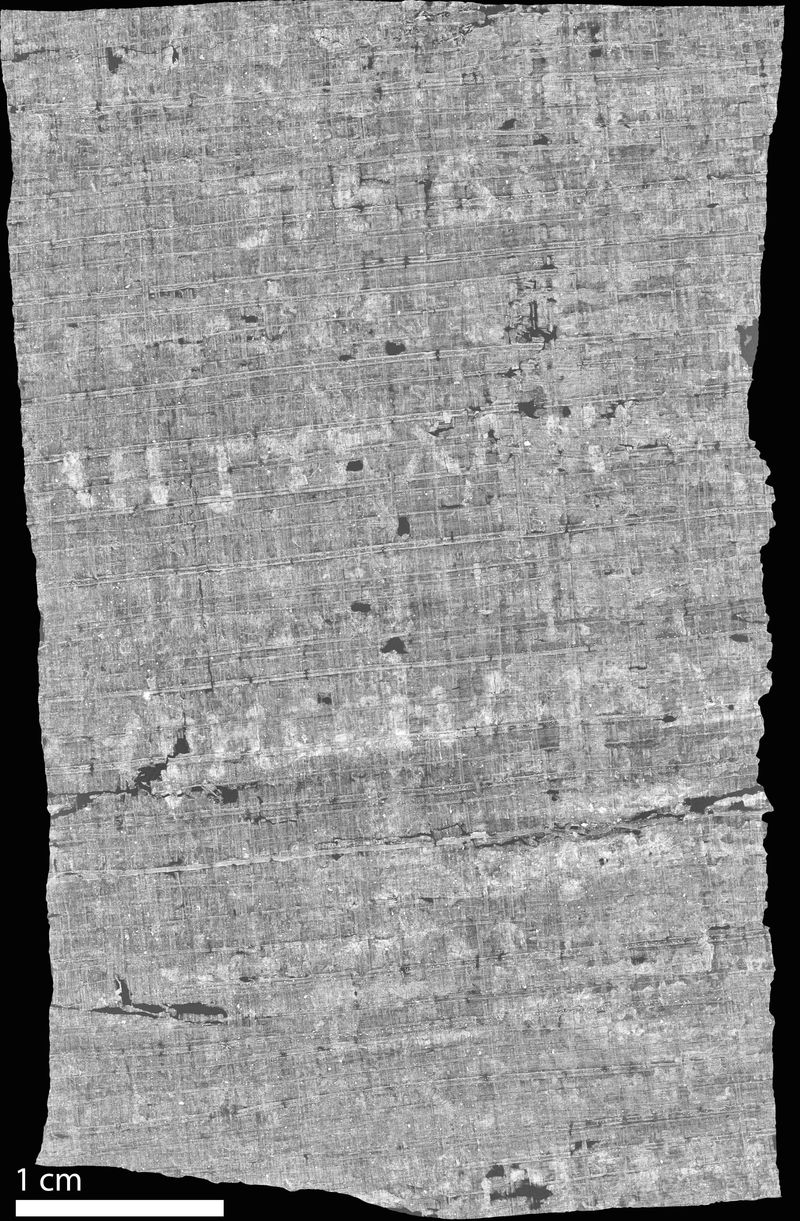 The photo shows a black and white image of a section of the scroll rendered in black and white. There are some Greek characters visible on the papyrus, which appear as a lighter tone against the grey backdrop. 