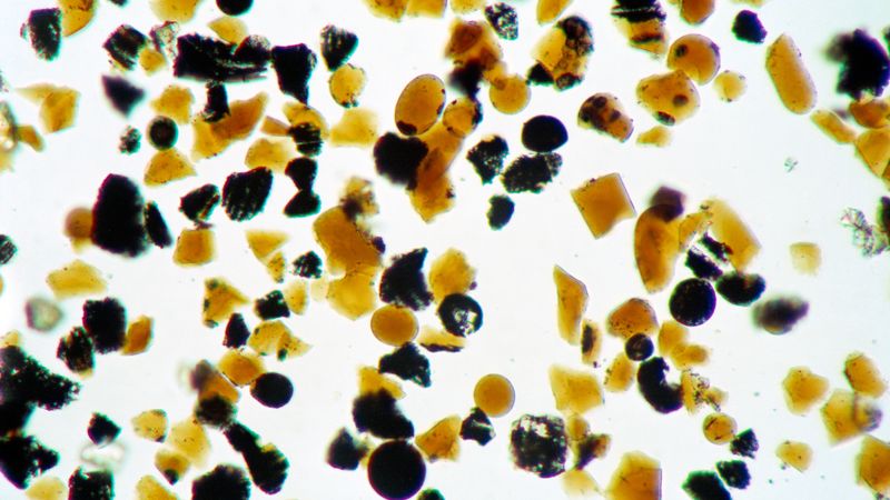 A microscope image of tens of beads some rounds some not either orange or black