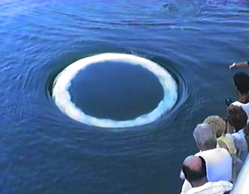 A perfect whale bubble ring at the surface of the sea as whale watchers look on
