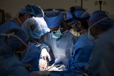 Surgeons perform world's first human bladder transplant