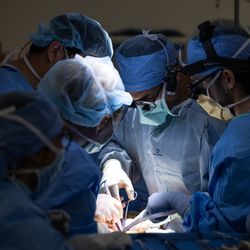Surgeons perform world's first human bladder transplant
