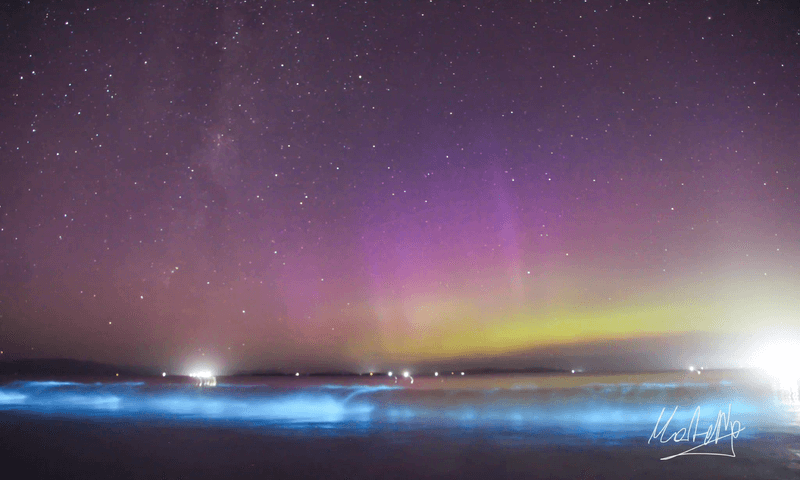 Tasmania saw in the New Year with auroras above and glowing seas below.