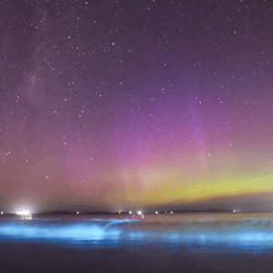 Tasmania saw in the New Year with auroras above and glowing seas below.